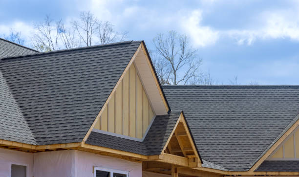 Professional Roofing Services in Apison, TN